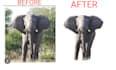 do photo cut out background removal deep etch product images and remove bg