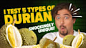 design attractive food thumbnails