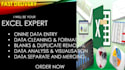 data entry , data cleaning , dashboard , data scraping in minimum times