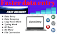 do data entry and copy paste job
