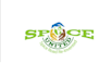 custom spice logo design to elevate your brand