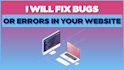 fix bugs or errors on your website