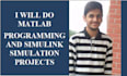 help with matlab programming and simulink simulation