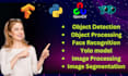 build yolo object detection model for your projects