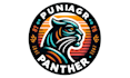do modern panther logo with unlimited revisions