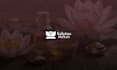 design modern logo designs for your brand