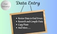 provide data entry services