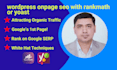 do wordpress onpage seo with rankmath or yoast