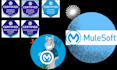 help you do API integration using mulesoft