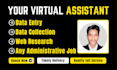 be virtual assistant for data entry, web research, data collection, pdf to excel