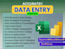 do accurate data entry and cleaning in ms excel and powerbi