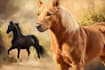 create realistic digital pet portrait dog, cat, horse