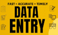 be your professional data entry assistant