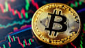 help crypto currency coins to maximize your wealth