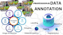 do professional image annotation and segmentation