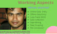 be your virtual assistant for data entry research cp