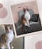 draw a pet portrait in digital