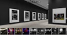 create a stunning 3d virtual art exhibition or gallery for artists and galleries