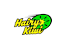 design unique racing team logo
