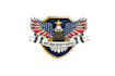 create exclusive and marvelous eagle logo design
