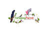 create a winning parrot toy range logo design