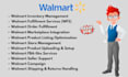 do walmart logistics and wfs expert