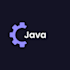 develop custom java programs and solutions