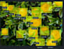 do custom data annotation bitmap polygon bounding box