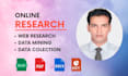 do online research, typing and web research