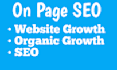 do professional on page SEO expert
