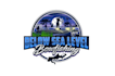 create attractive and imagination fishing logo design