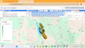 do forest canopy height