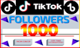 do organic promotion for tiktok profile growth followers