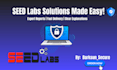 provide comprehensive seed labs solutions and reports
