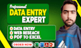 do data entry for ms excell, PDF to excel, excel to pdf,