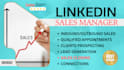 be your linkedin appointment setter and b2b sales manager
