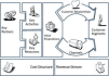complete a business model canvas for your business