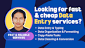 do fast and cheap data entry with spreadsheet and excel
