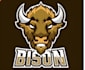 design custom bison ranch logo