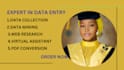 do expert data entry work