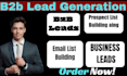 b2b lead generation email leads