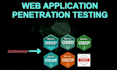 perform web application penetration testing
