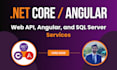 code asp net core web api and web application with angular