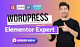 design and develop  wordpress website as an elementor expert