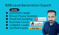 find direct phone number and b2b leads from lusha and snov