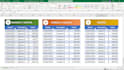 professional excel accounting system