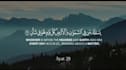create beautiful quran recitation videos with translation