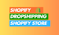 create a branded shopify website or dropshipping store