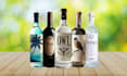 do gin label, wine, vodka,rum, whiskey and can label design