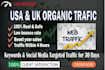 increase organic website on traffic website promotion
